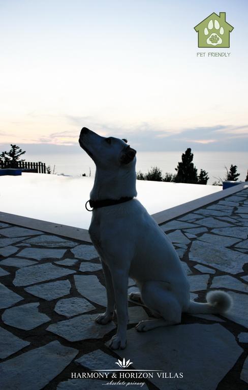 Harmony And Horizon Villas Athanion Bagian luar foto